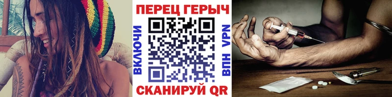 ОМГ ОМГ   Новая Ладога  ГЕРОИН Афган 