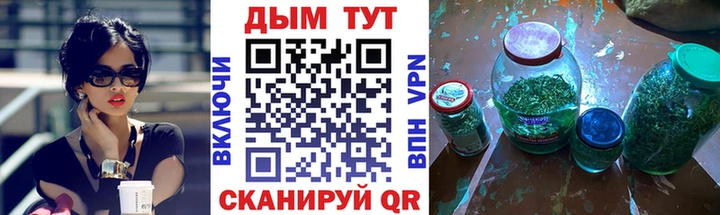 Бошки Шишки Amnesia  Новая Ладога 